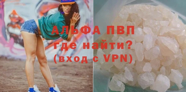 молекула духа Алексин
