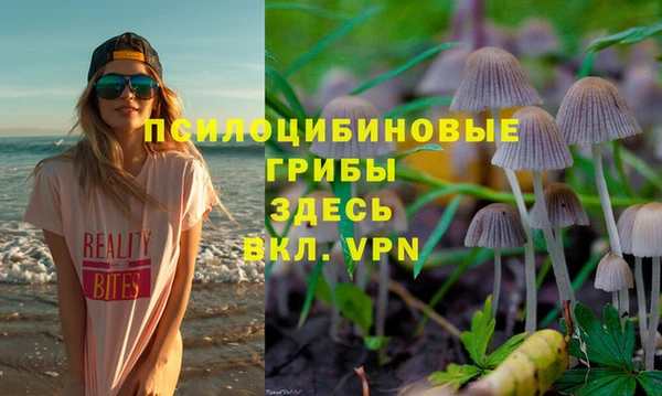 молекула духа Алексин