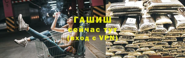 молекула духа Алексин